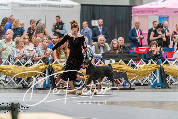 20260928-DSC06125