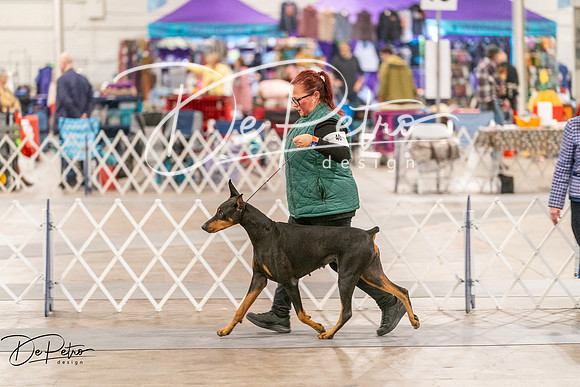 20261024-DSC00865