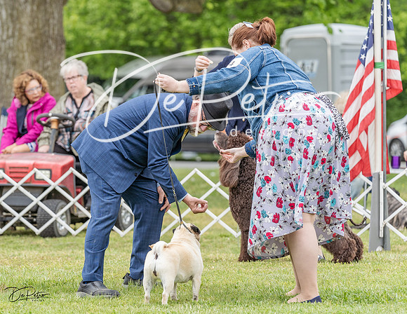 20230427-DSC07466