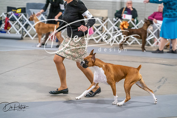 20261022-DSC01999