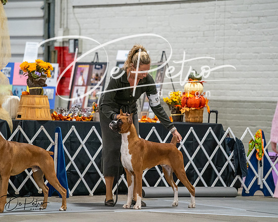20261022-DSC02667