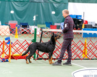 20261017-DSC08467