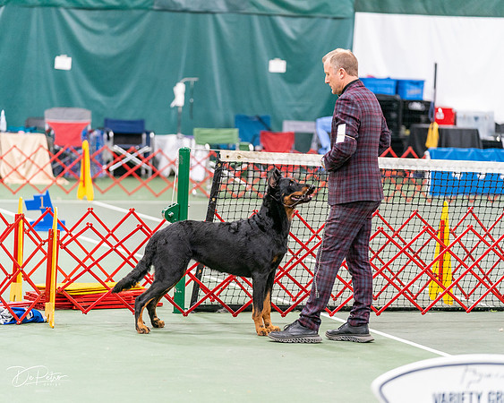 20261017-DSC08467