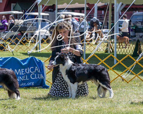 20230514-DSC04777
