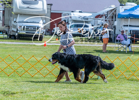 20230512-DSC05262