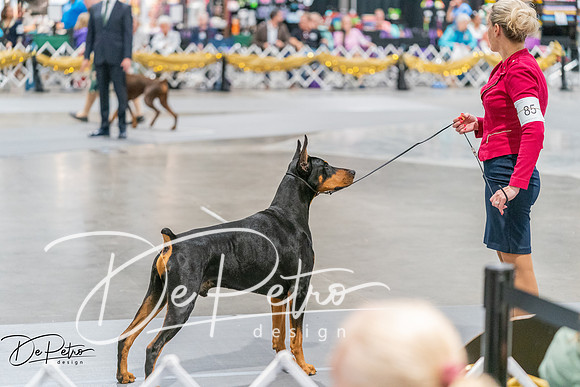20260927-DSC05475