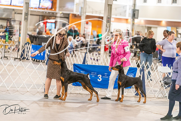 20261024-DSC00966