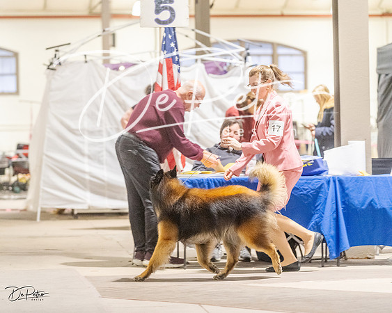 20230401-DSC07767