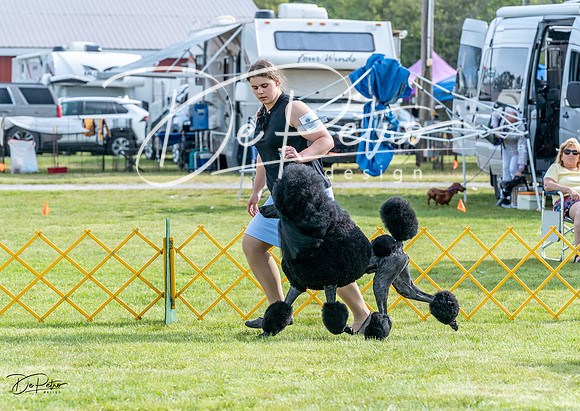 20230512-DSC06675