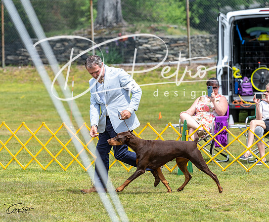 20230513-DSC08310