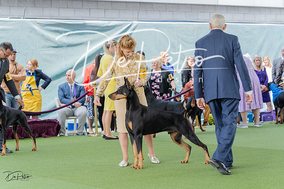 20230509-DSC01074