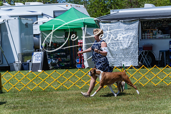 20230514-DSC04104