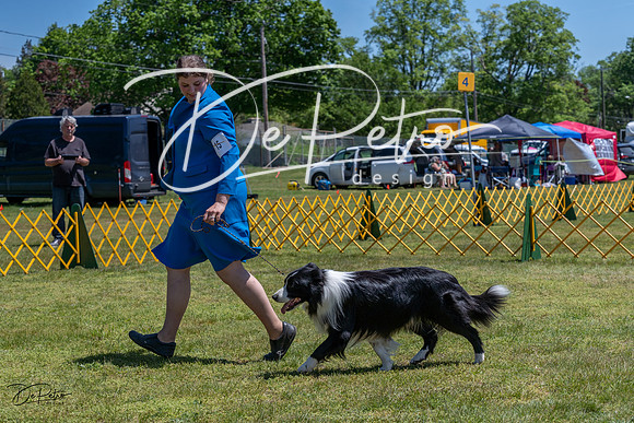 20230514-DSC04960