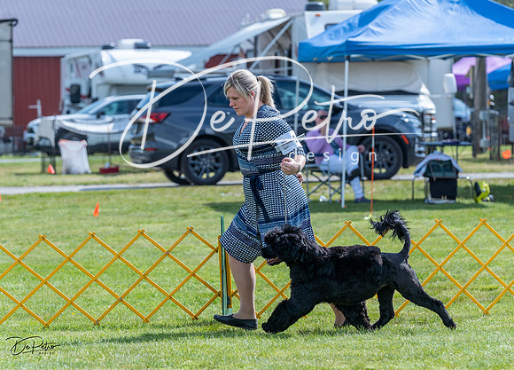 20230512-DSC05225