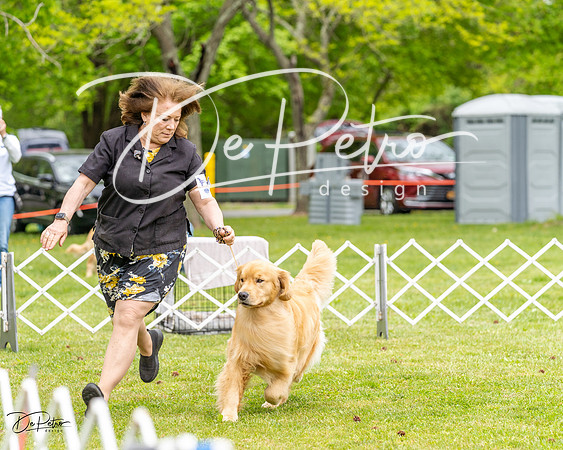 20230427-DSC03292