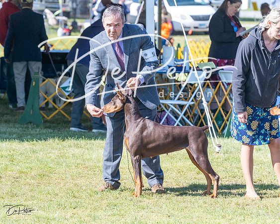 20230514-DSC02957