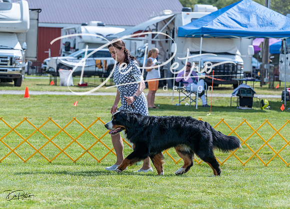 20230512-DSC05259