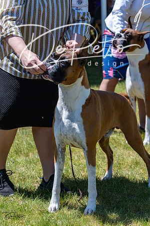 20230514-DSC04588