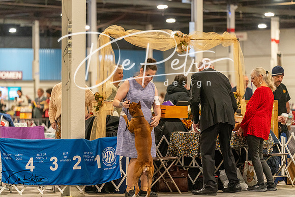 20261023-DSC05320