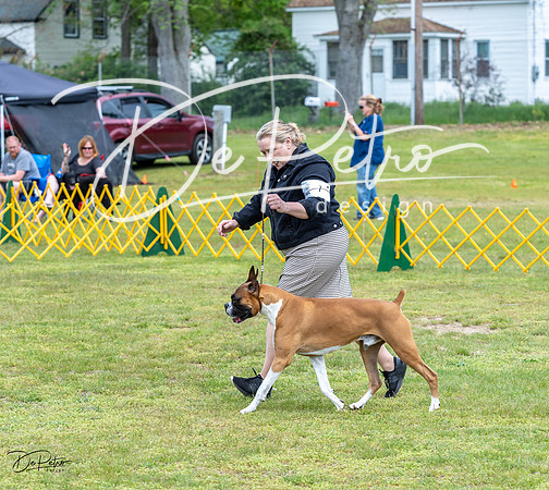 20230513-DSC07568