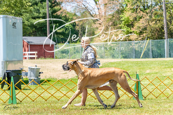 20230514-DSC07848