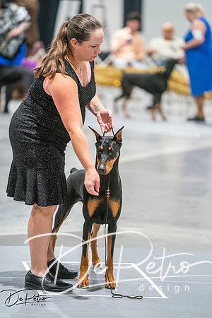 20260926-DSC04152
