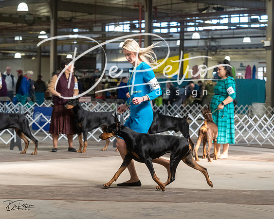 20230402-DSC09237