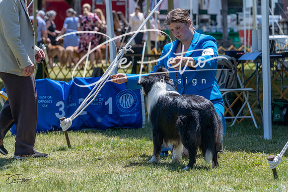 20230514-DSC04942