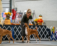 20261022-DSC02668