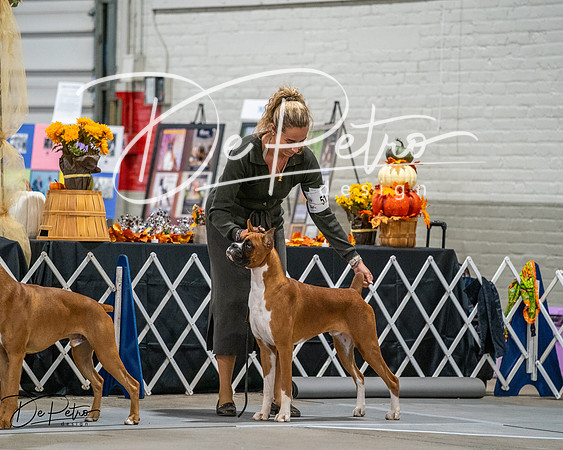 20261022-DSC02668