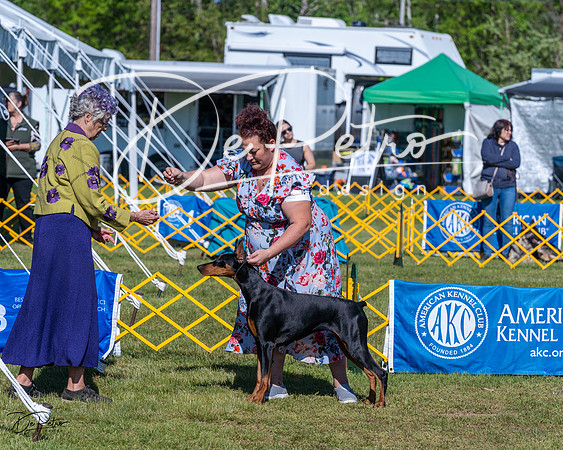 20230514-DSC02600