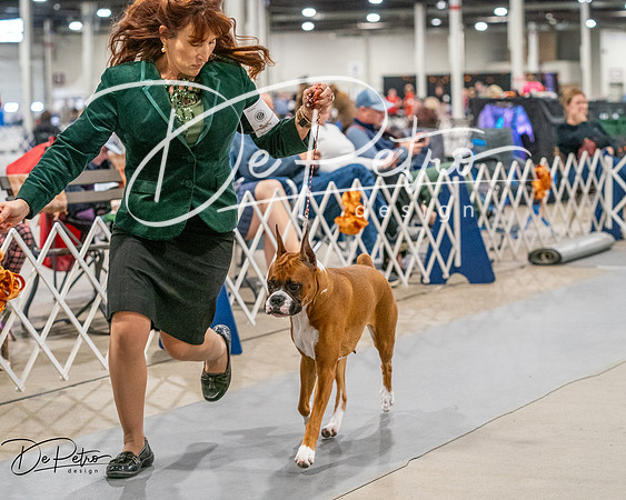 20261022-DSC01901