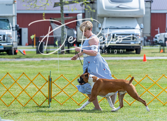 20230512-DSC05002