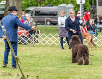 20230427-DSC07237