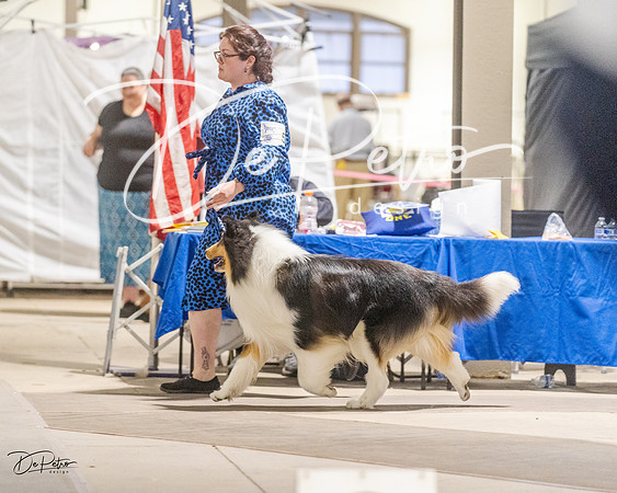 20230401-DSC07843