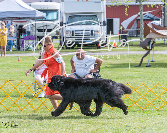 20230513-DSC00603