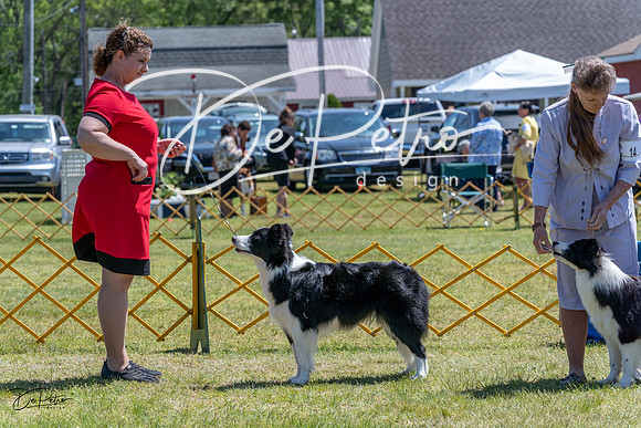20230514-DSC04770
