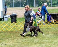 20230514-DSC03936