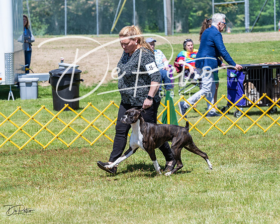 20230514-DSC03936