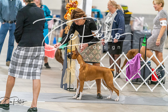 20261022-DSC00241