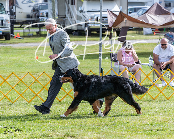 20230513-DSC00919