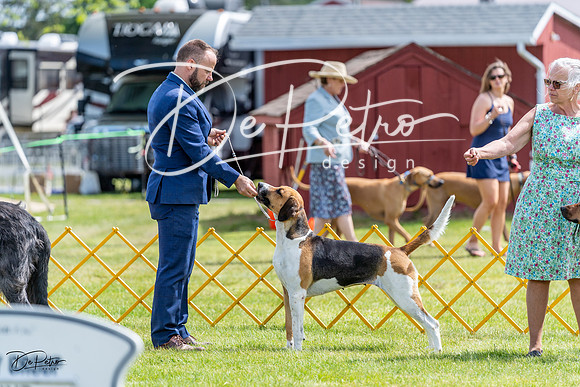 20230513-DSC09369