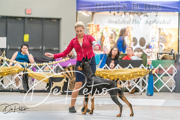 20260927-DSC05235