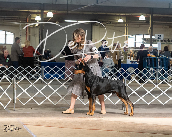 20230402-DSC09034