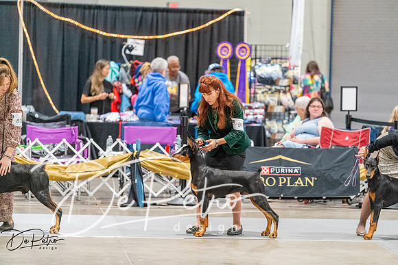 20261001-DSC07197
