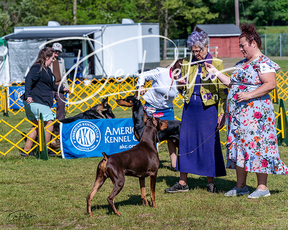 20230514-DSC03160
