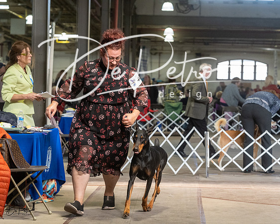 20230402-DSC08872