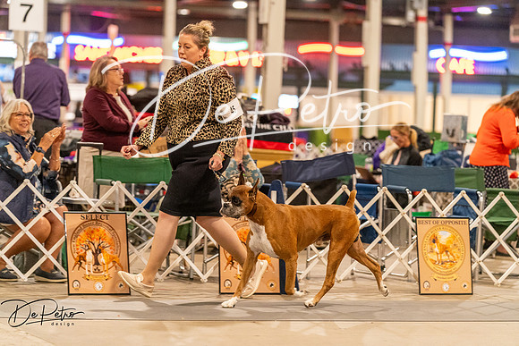 20261023-DSC05424