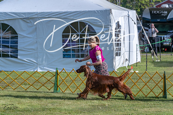 20230513-DSC02230