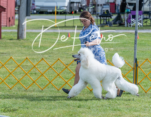 20230513-DSC00314